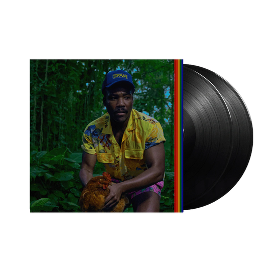 Bando Stone And The New World - Vinyl 2LP